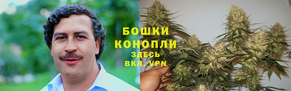 хмурый Корсаков