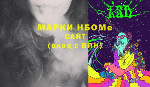 молекула духа Козельск