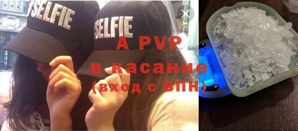 ПСИЛОЦИБИНОВЫЕ ГРИБЫ Кодинск