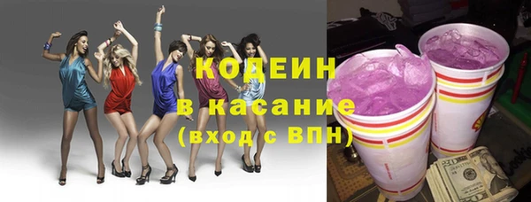 молекула духа Козельск