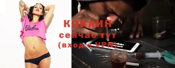 хмурый Корсаков