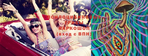 хмурый Корсаков