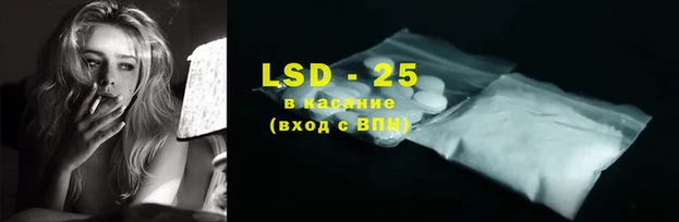ПСИЛОЦИБИНОВЫЕ ГРИБЫ Кодинск