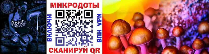 Купить закладки  Болотное  Псилоцибиновые грибы прущие грибы 